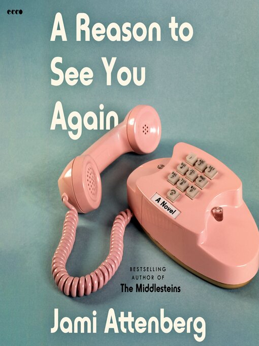 Title details for A Reason to See You Again by Jami Attenberg - Wait list